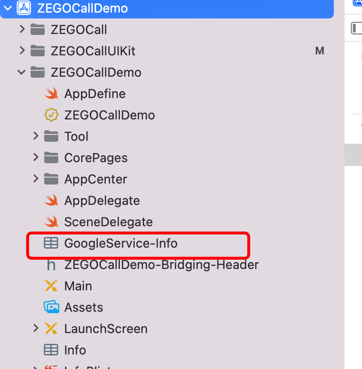 /Pics/ZEGOCall/GoogleInfo.png